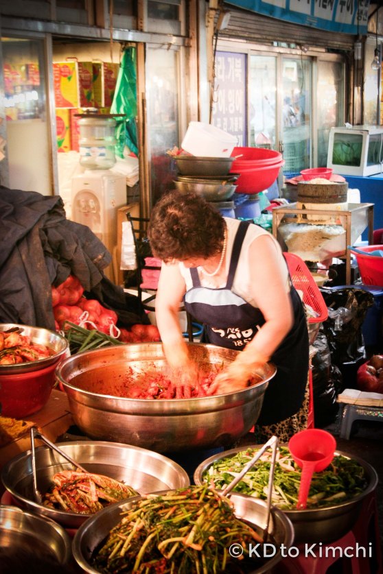 A woman making spicy fermented cabbage (kimchi - 김치),